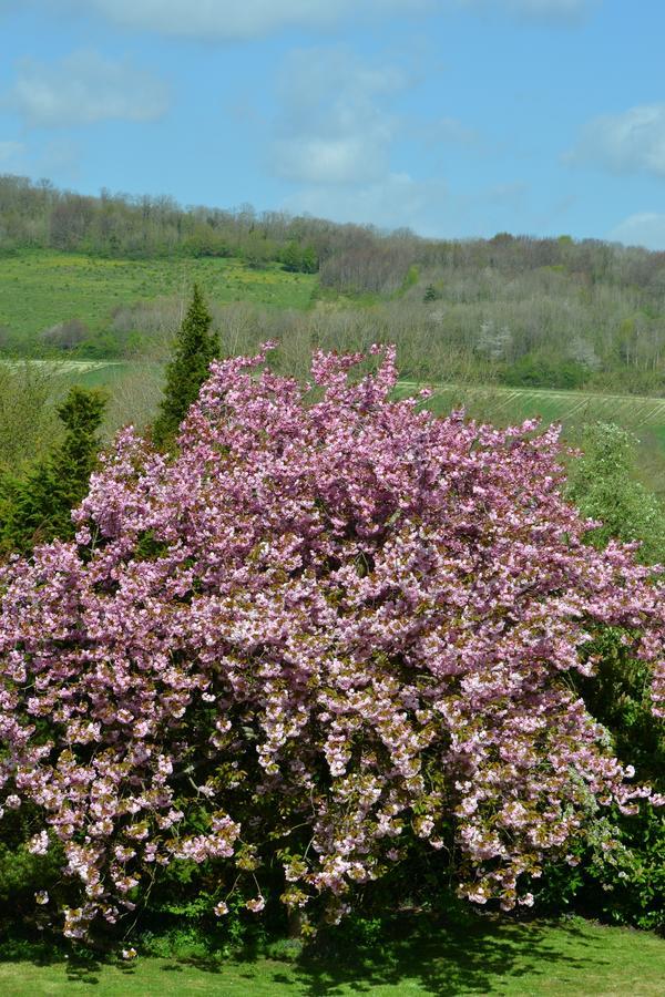 Bed and Breakfast Le Manoir De Bonningues Les Ardres Exterior foto